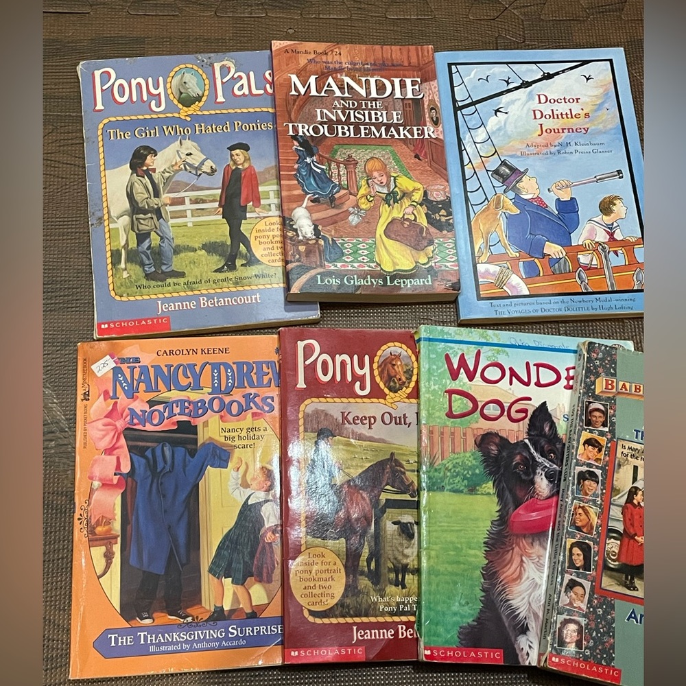 Lot of used children chapter book